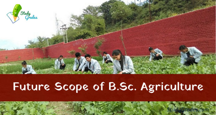 What is the future scope of B.Sc. Agriculture