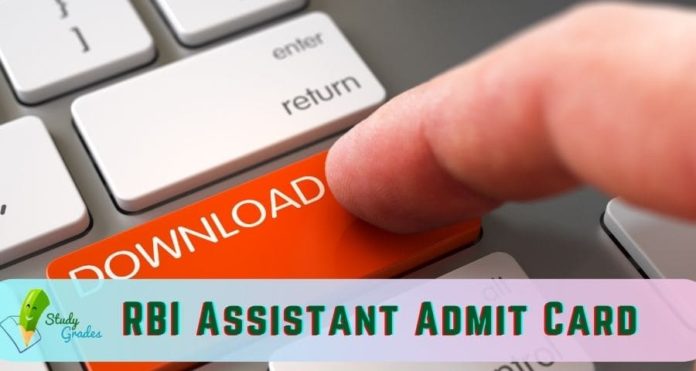rbi assistant admit card 2021