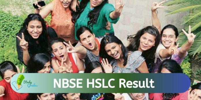 NBSE HSLC Result 2024