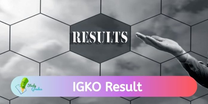 IGKO results 2024
