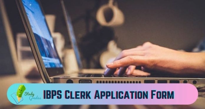 ibps clerk application form