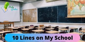 10 lines on my school in english