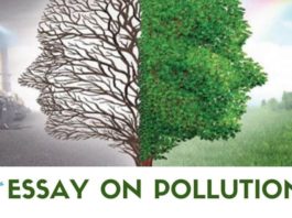 Essay on Pollution