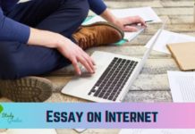 essay on internet
