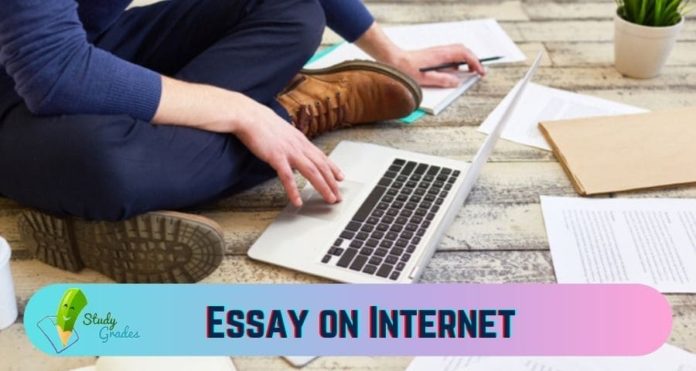 essay on internet
