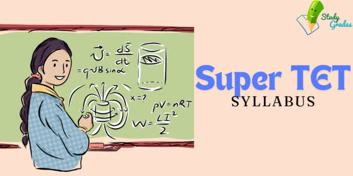 Super TET Syllabus 2024