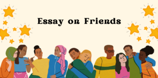 Essay on Friends
