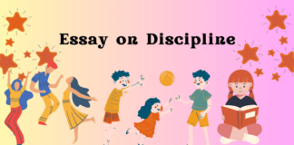 essay on discipline
