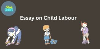 Essay on Child Labour