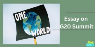Essay on g20 summit