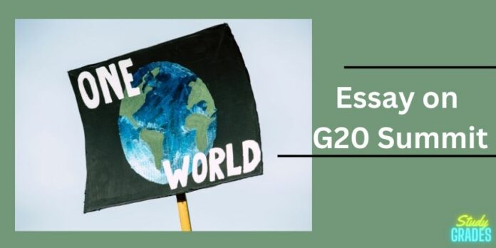 Essay on g20 summit