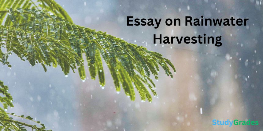 Essay on Rainwater Harvesting