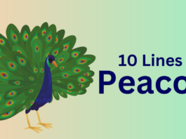 10 Lines on Peacock