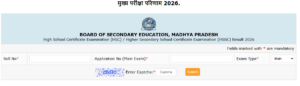 MP Board 10th Result 2026